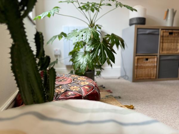 A therapy room at The Iveagh Practice, 37 Wexford Street, Dublin 2